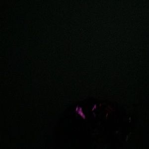 Meet your Posher, Ingrid